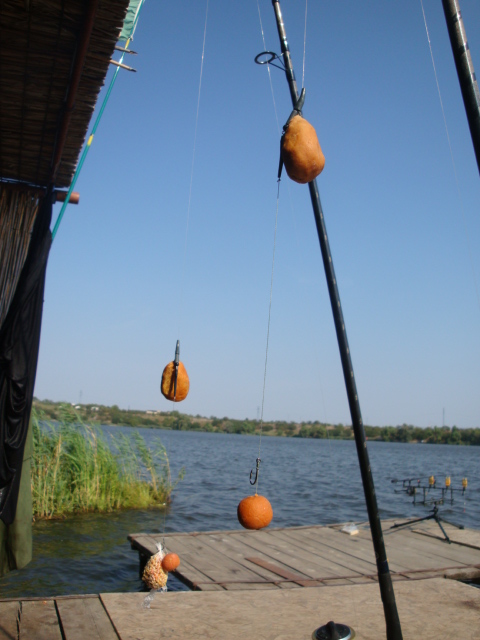 DSC07825.JPG
