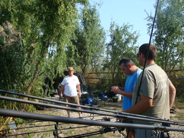 DSC07845.JPG