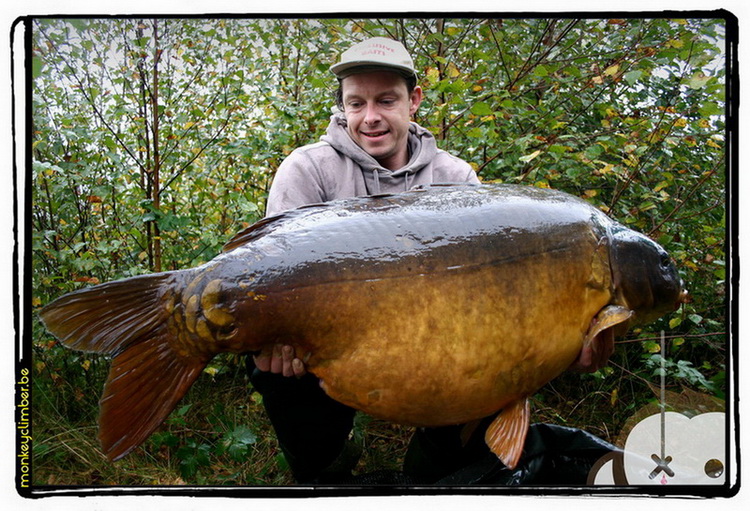 Benelux Carp.jpg