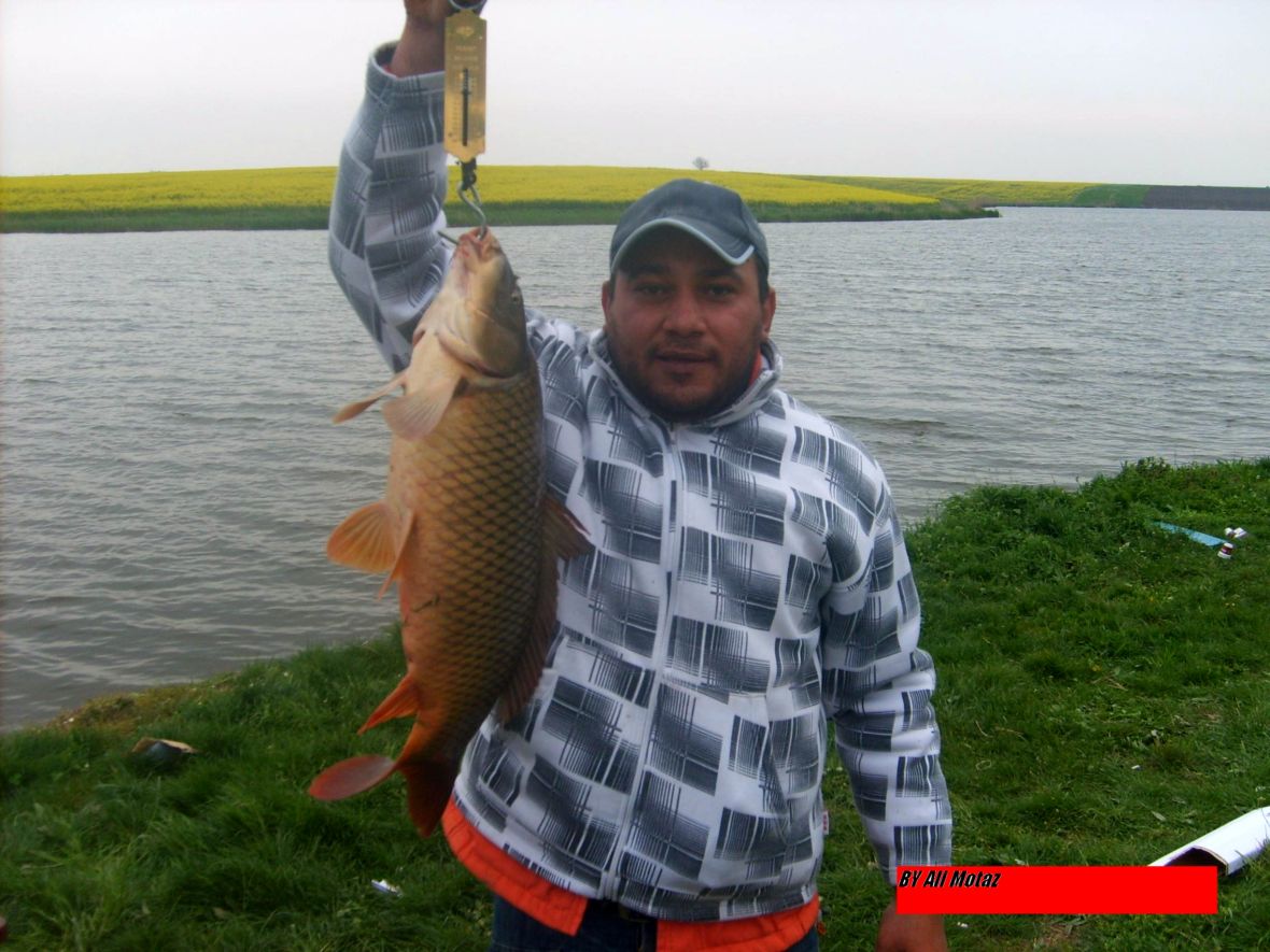 S5000009.JPG