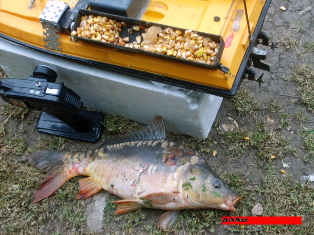 S5000024.JPG