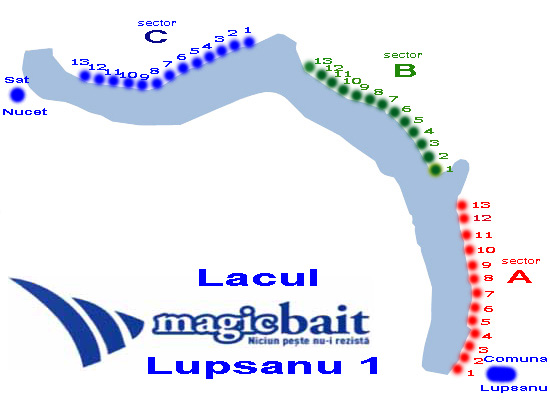 Pista oficiala Magic Bait Lupsanu 1 Sectorizat A, B, C.jpg