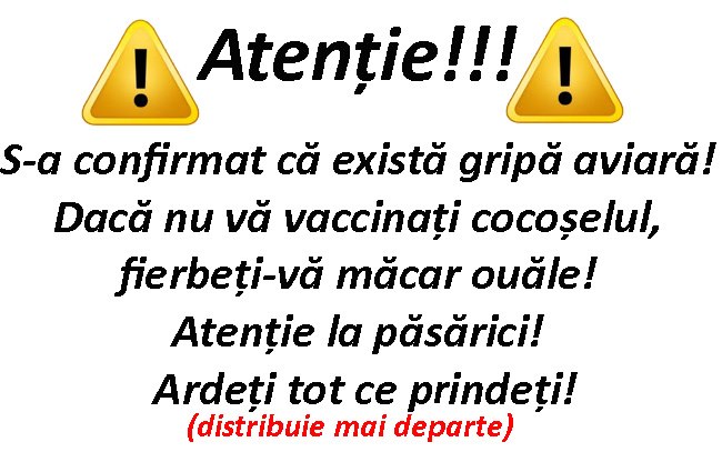 Gripa aviara.jpg Gripa aviara.jpg