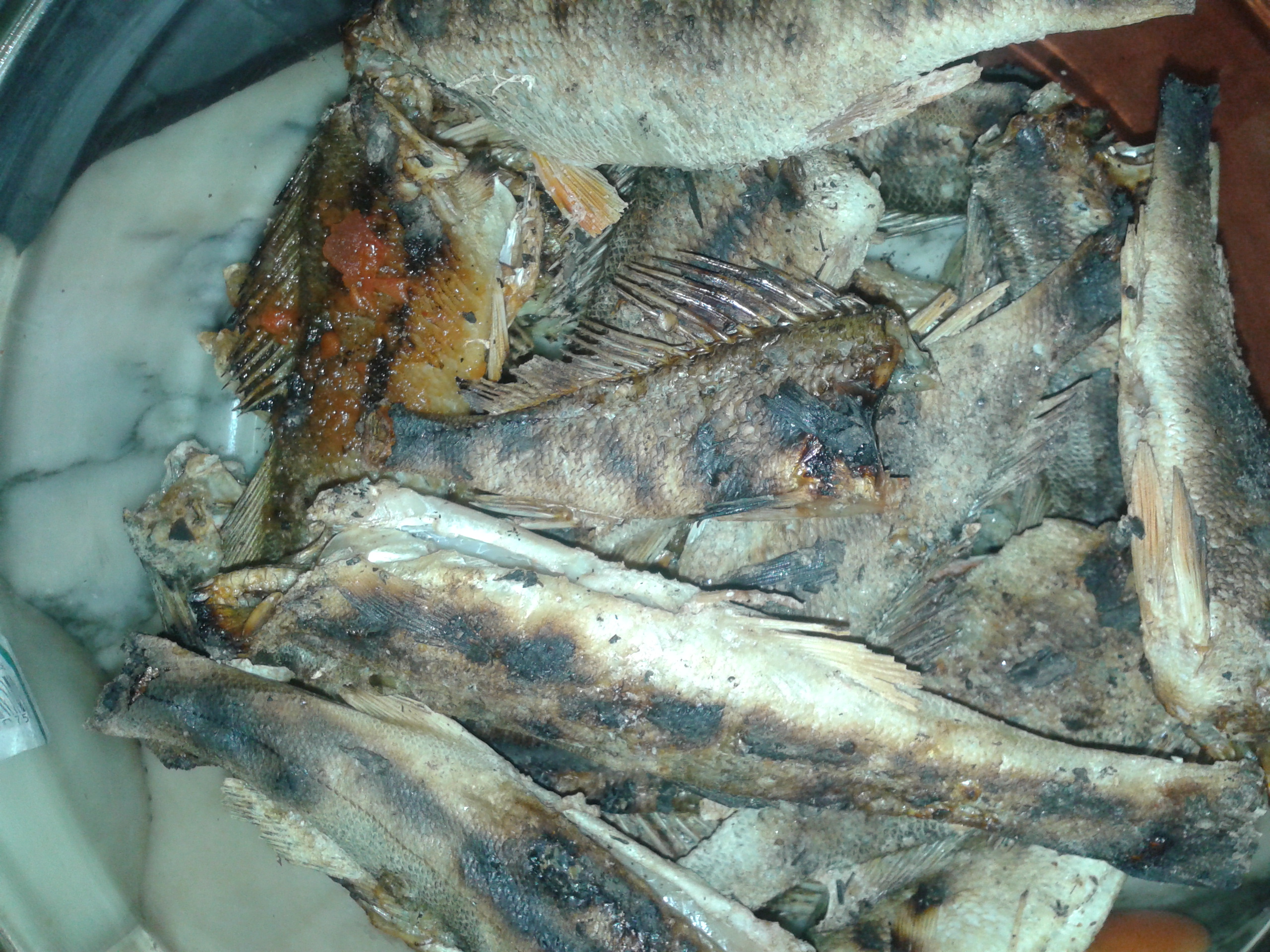 20130107_192323.jpg