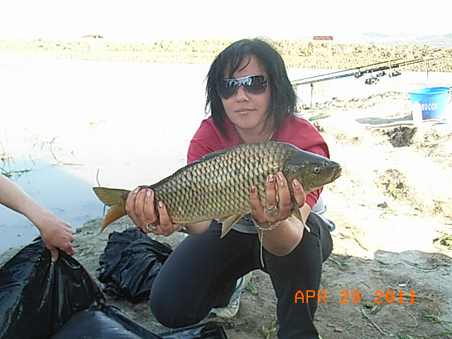 RIMG0264.JPG