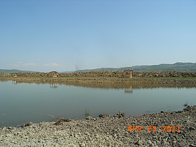 RIMG0227.JPG