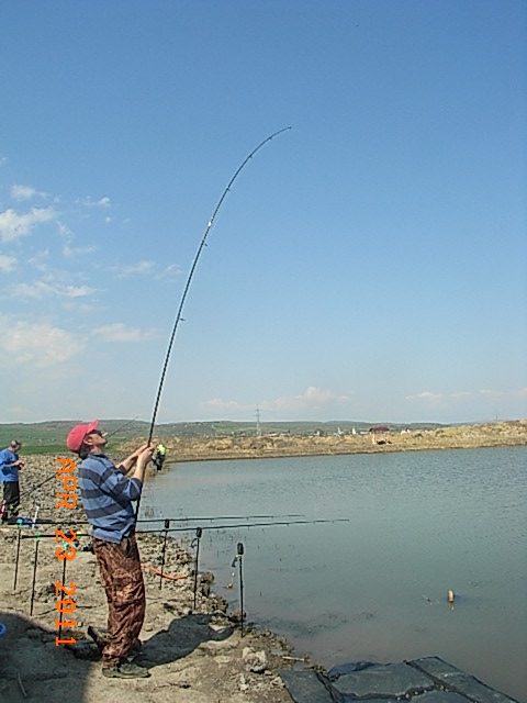 RIMG0230.JPG