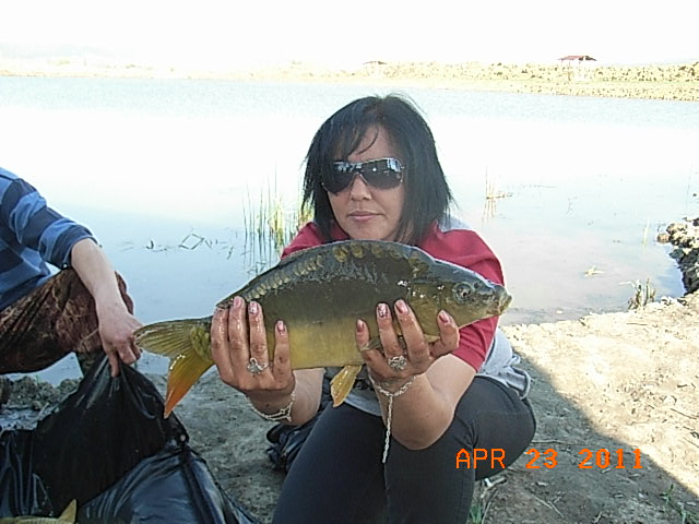 RIMG0266.JPG