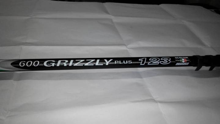Grizzly 123 PLUS.jpg