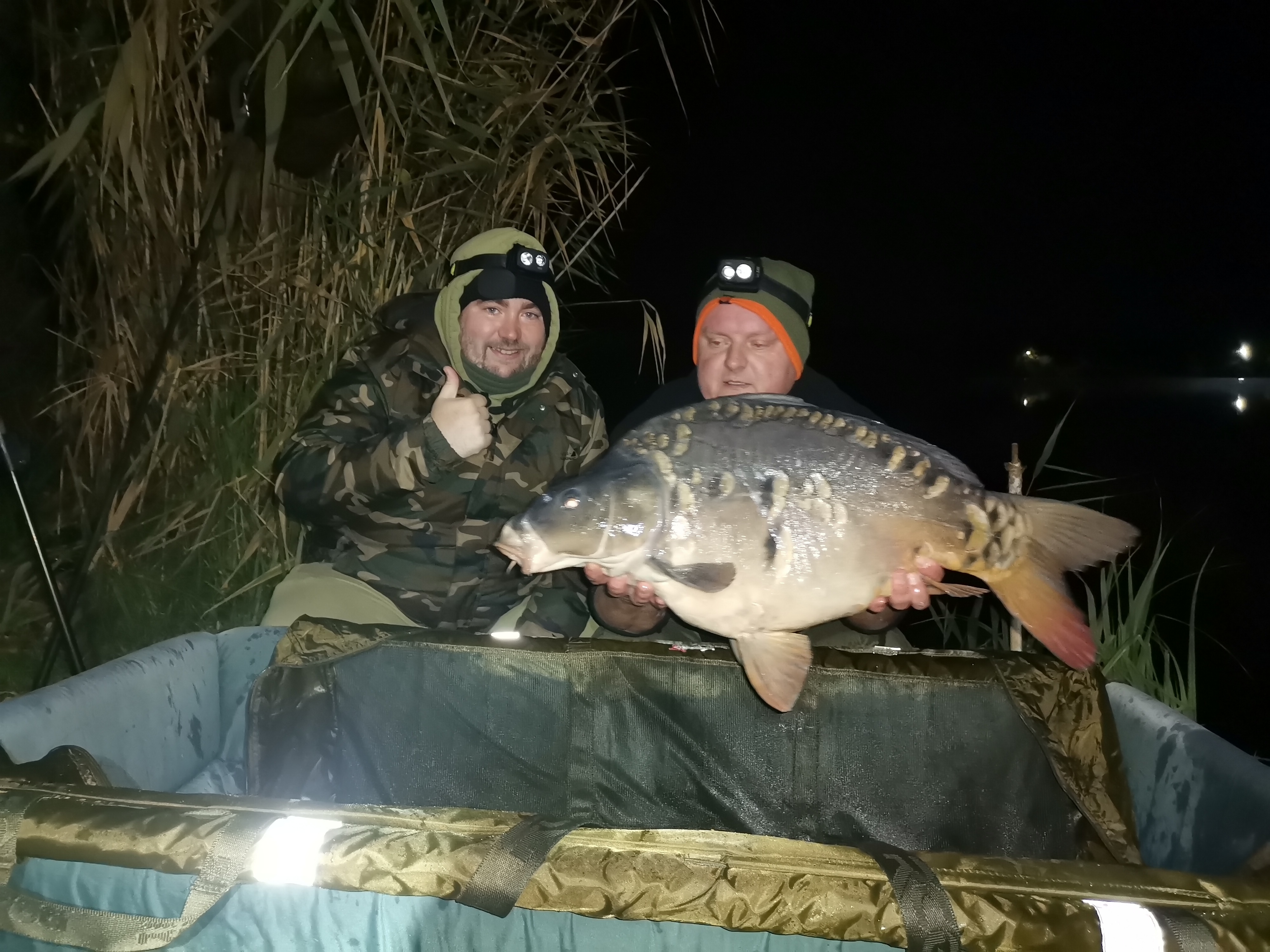 IMG_20211110_182816.jpg IMG_20211110_182816.jpg