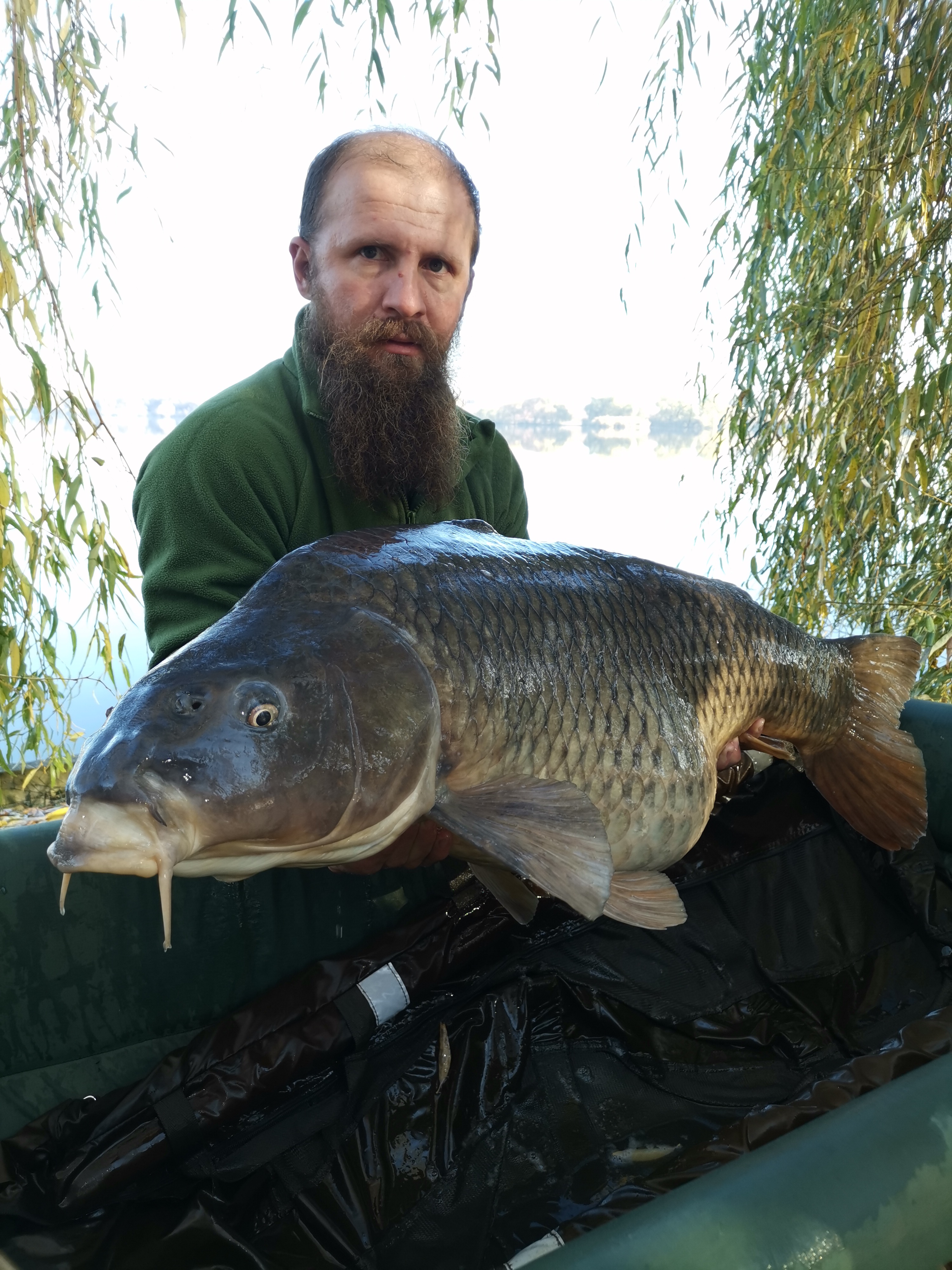 IMG_20211112_091340.jpg IMG_20211112_091340.jpg