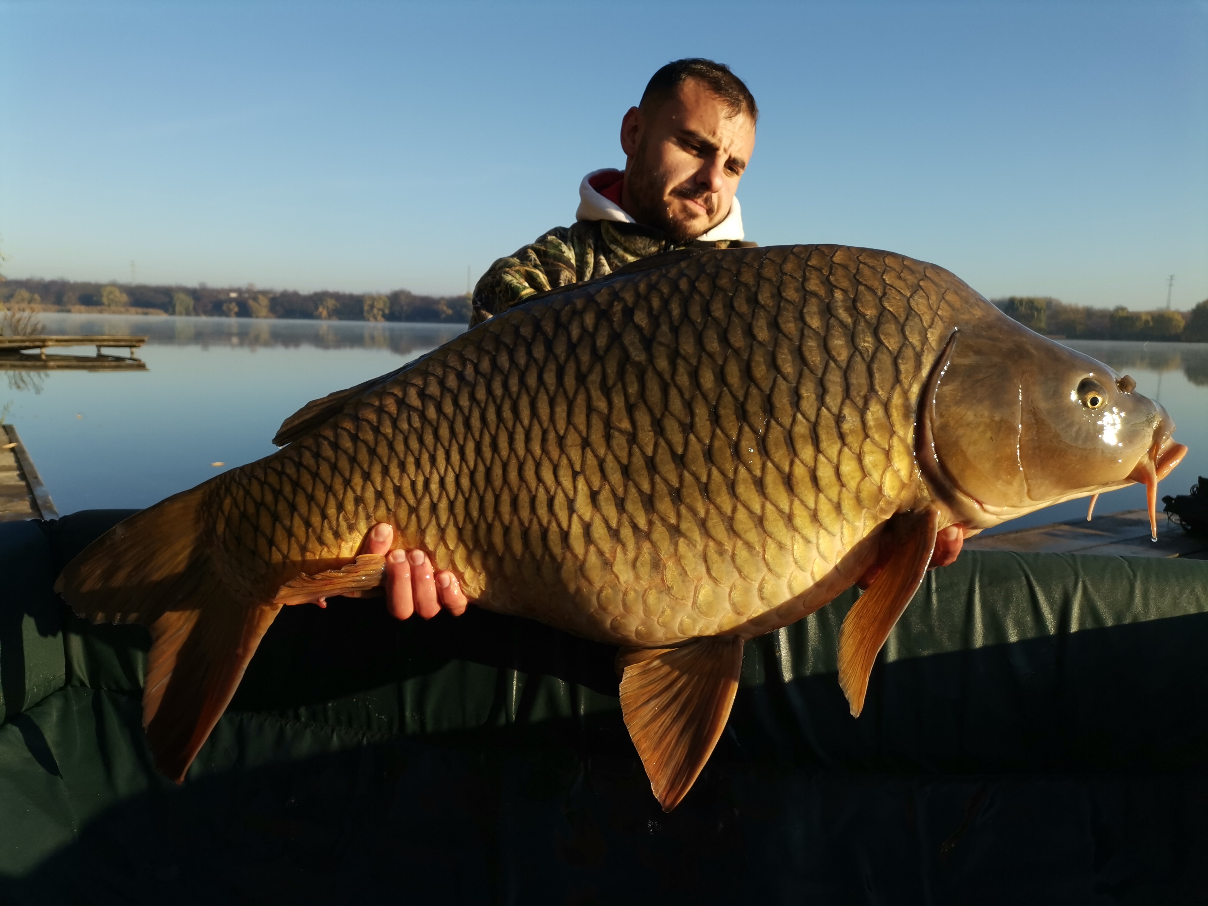 IMG_20211112_082711.jpg IMG_20211112_082711.jpg