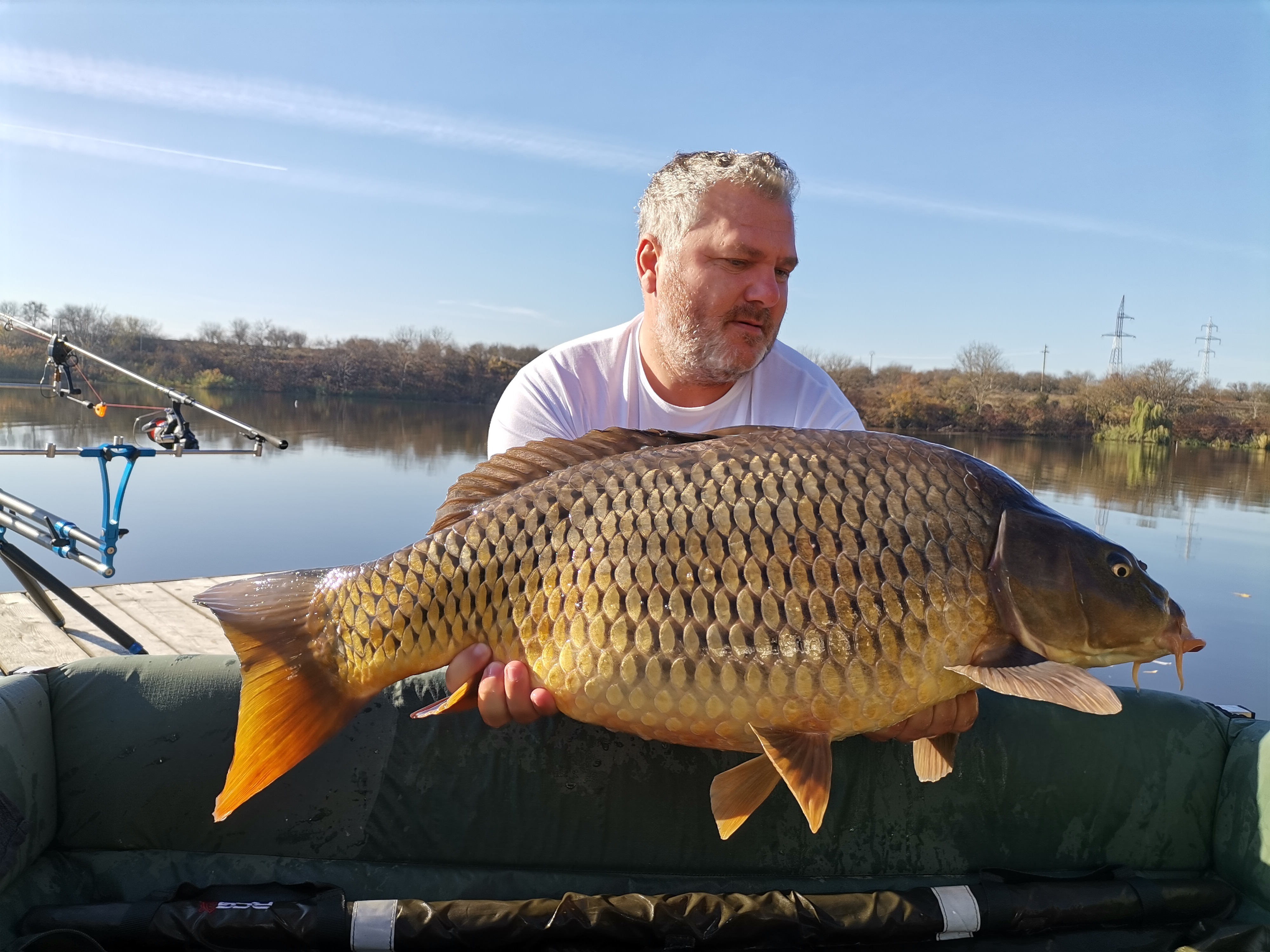 IMG_20211111_110259.jpg IMG_20211111_110259.jpg