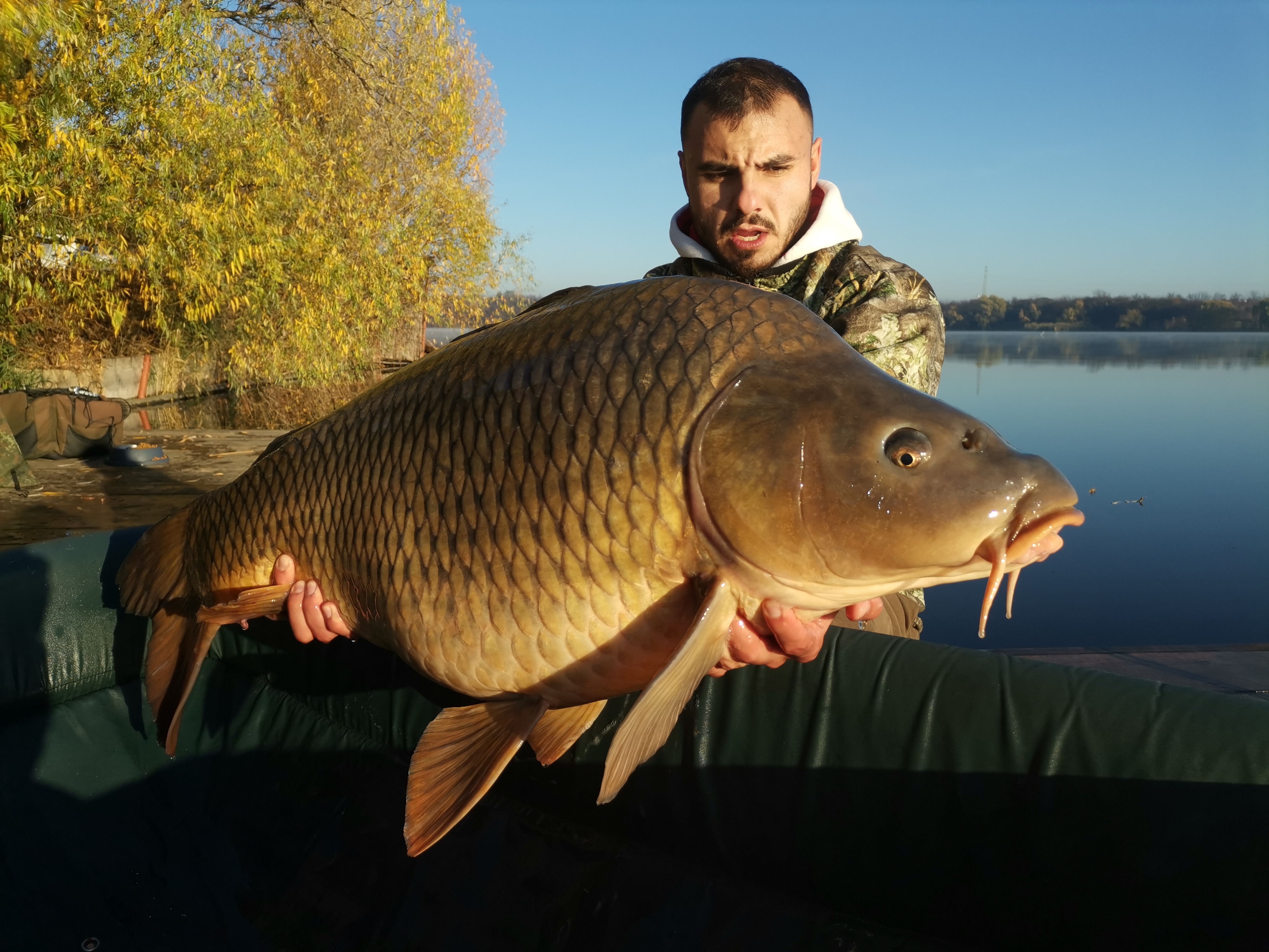 IMG_20211112_082700.jpg IMG_20211112_082700.jpg