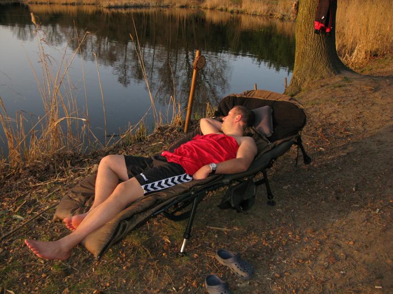 haromfa479.jpg haromfa479.jpg