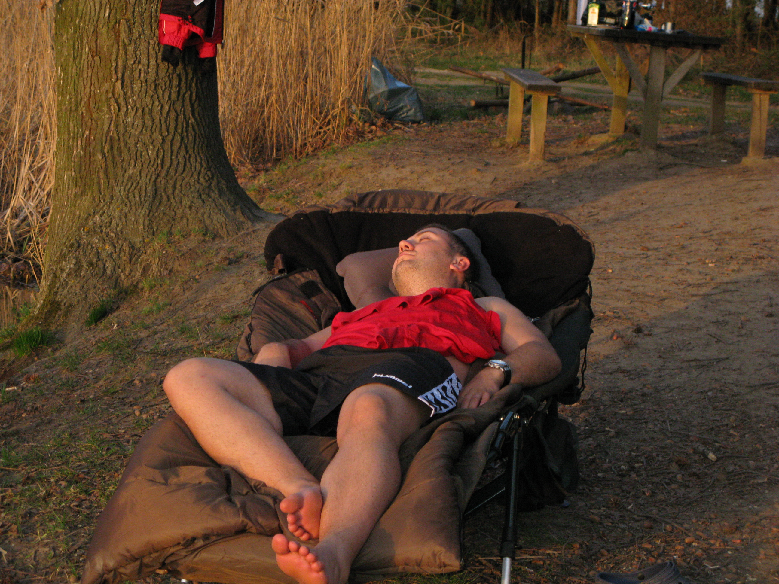 haromfa 487.jpg haromfa 487.jpg