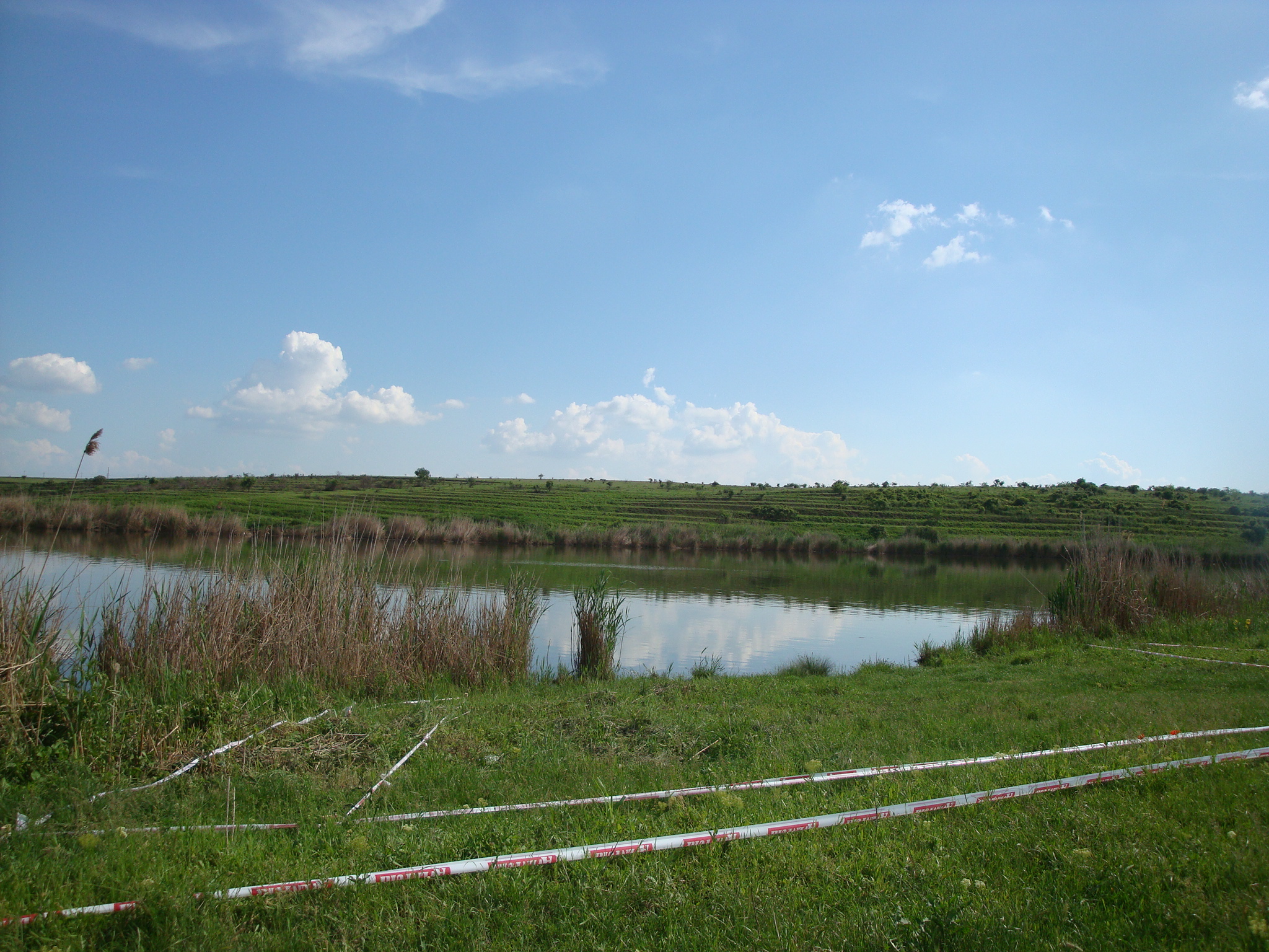 DSC06489.JPG